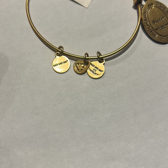 Alex and Ani sister adjustable brass bangle - Picture 4 of 6
